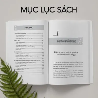 Nâng Cao Tần Số Rung Động Mỗi Ngày — ảnh 5